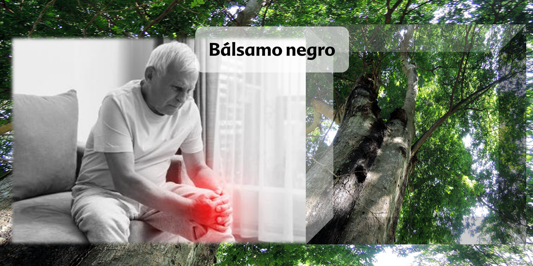 Bálsamo negro