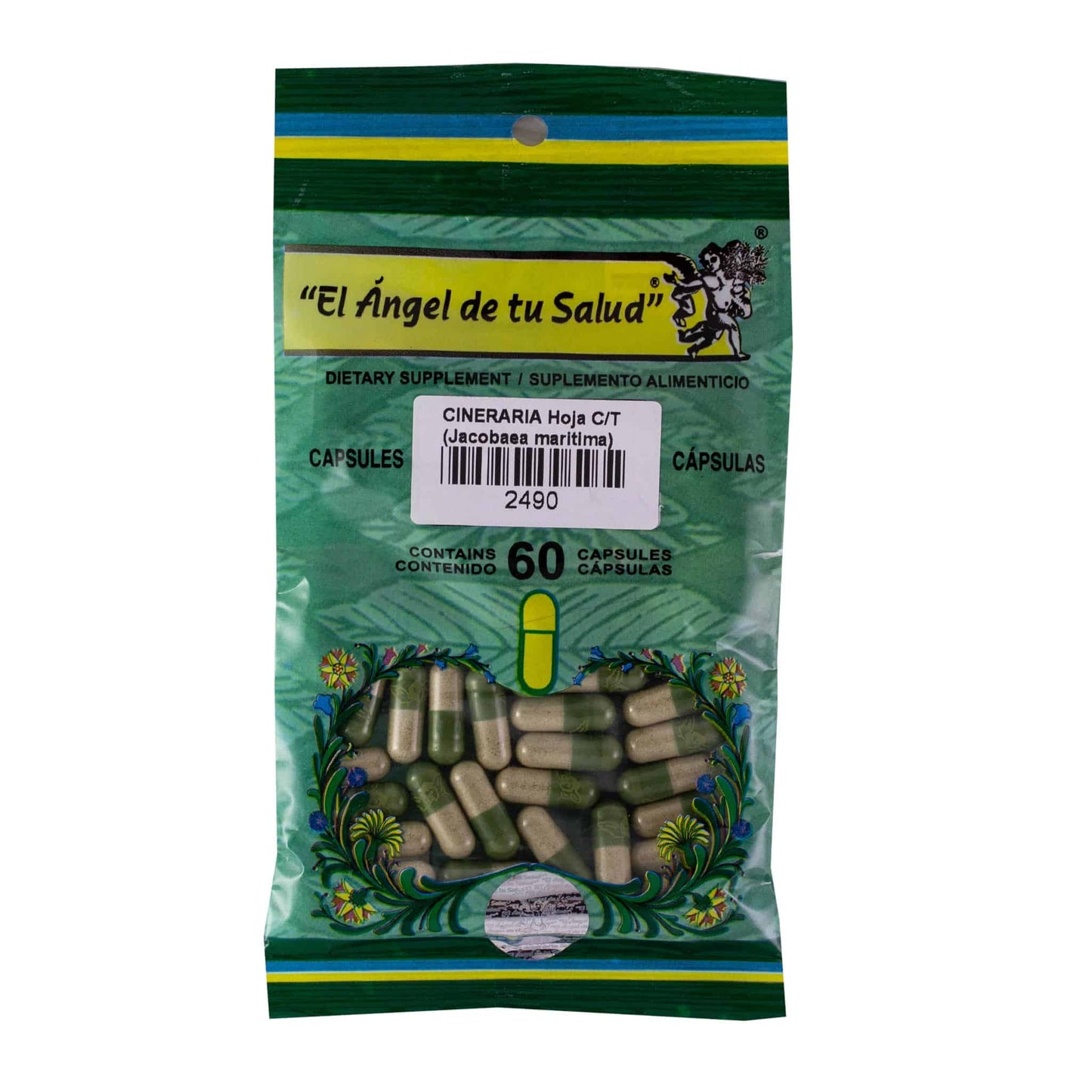 CINERARIA hojas con tallo ™ Cápsula dura bolsa verde 60