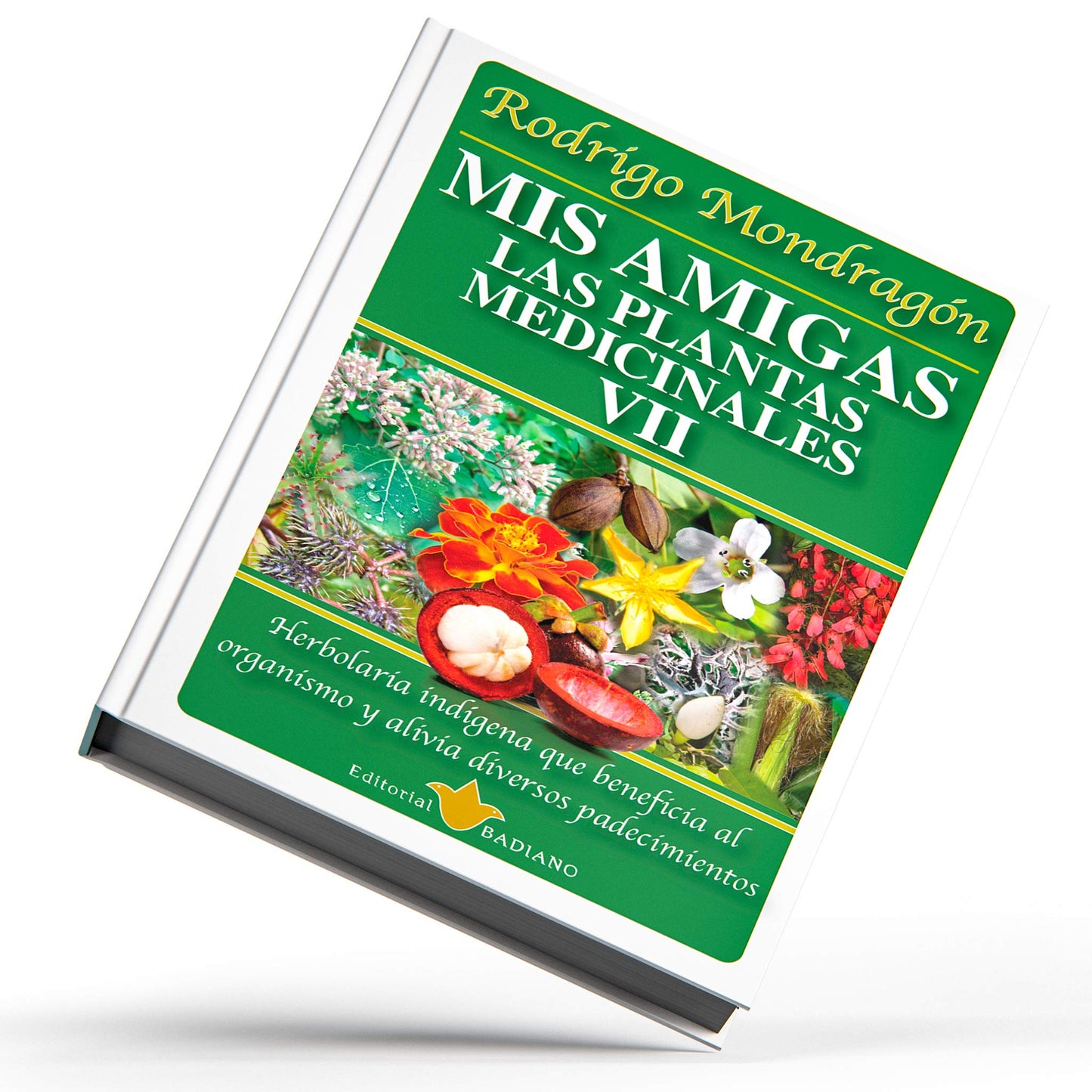 Mis amigas las plantas medicinales ® libro 7 de Rodrigo Mondragón