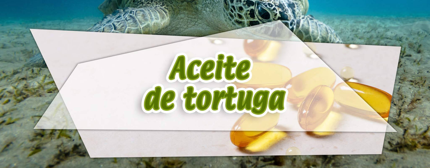 Aceite de caguama para niños – El Ángel de tu Salud