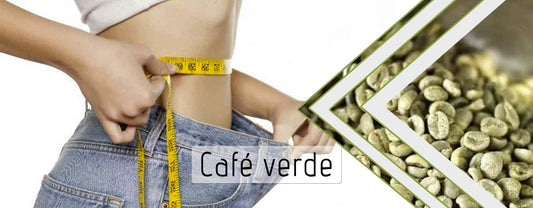 Café verde para adelgazar, bajar de peso y tratar los problemas de obesidad.