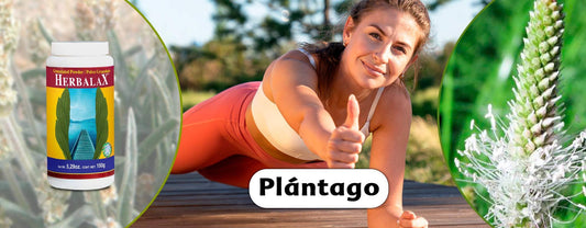 Plantago sirve para limpiar el colon.