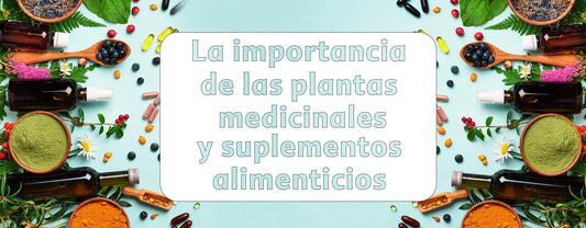 La importancia de las plantas medicinales y los suplementos alimenticios.