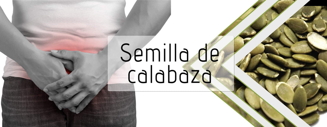 Próstata una glándula del tamaño de una nuez.